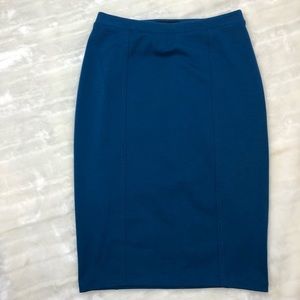 Blue Pencil Skirt (m)
